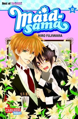 Maid-sama 12