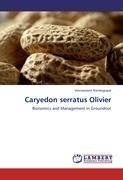 Caryedon serratus Olivier