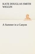 A Summer in a Canyon