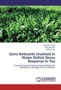 Gene Networks Involved In Water Deficit Stress  Response In Tea