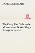 The Camp Fire Girls in the Mountains or Bessie King's Strange Adventure