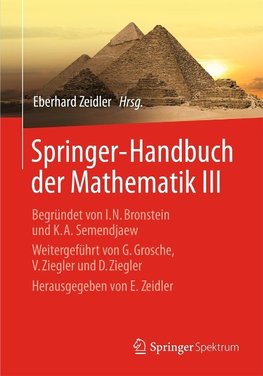 Springer-Handbuch der Mathematik III