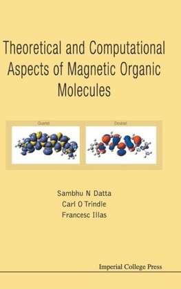 THEORETICAL AND COMPUTATIONAL ASPECTS OF MAGNETIC ORGANIC MOLECULES