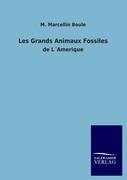 Les Grands Animaux Fossiles