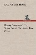 Bunny Brown and His Sister Sue at Christmas Tree Cove