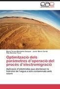 Optimització dels paràmetres d'operació del procés d'electromigració