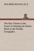 The Boy Chums in the Forest or Hunting for Plume Birds in the Florida Everglades