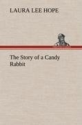 The Story of a Candy Rabbit