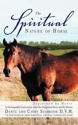 The Spiritual Nature of Horse Explained by Horse