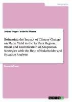 Estimating the Impact of Climate Change on Maize Yield in the La Plata Region, Brazil, and Identification of Adaptation Strategies with the Help of Stakeholder and Situation Analysis