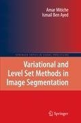 Variational and Level Set Methods in Image Segmentation