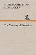 The Meaning of Evolution