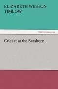 Cricket at the Seashore