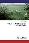 Effect of Antibiotics on Phagocytosis