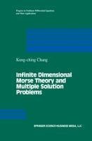 Infinite Dimensional Morse Theory and Multiple Solution Problems