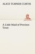 A Little Maid of Province Town