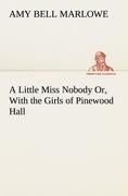 A Little Miss Nobody Or, With the Girls of Pinewood Hall