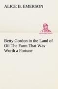 Betty Gordon in the Land of Oil The Farm That Was Worth a Fortune