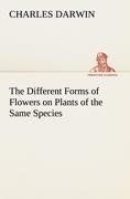 The Different Forms of Flowers on Plants of the Same Species