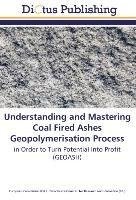 Understanding and Mastering Coal Fired Ashes Geopolymerisation Process