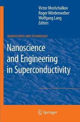 Nanoscience and Engineering in Superconductivity