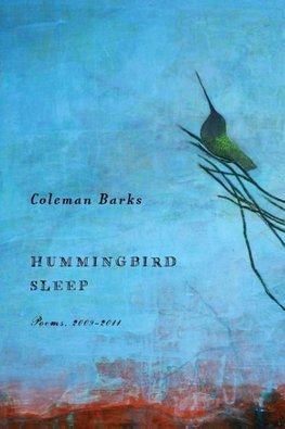 Hummingbird Sleep