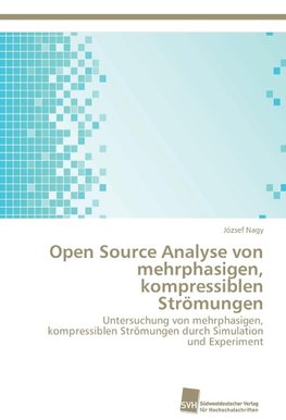 Open Source Analyse von mehrphasigen, kompressiblen Strömungen