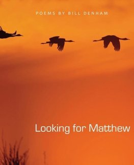 Looking for Matthew