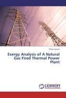 Exergy Analysis of A Natural Gas Fired Thermal Power Plant