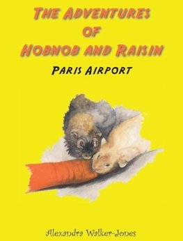 The Adventures of Hobnob and Raisin - Paris Airport