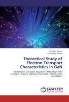 Theoretical Study of Electron Transport Characteristics in GaN