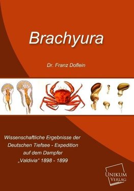 Brachyura