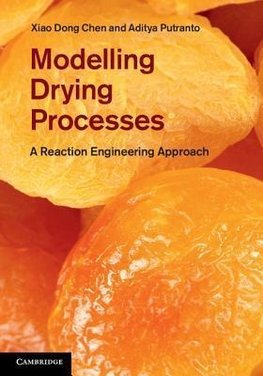 Chen, X: Modelling Drying Processes