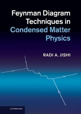 Feynman Diagram Techniques in Condensed Matter Physics