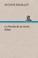 La Novela de un Joven Pobre