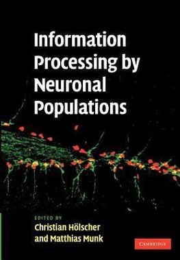 Information Processing by Neuronal Populations