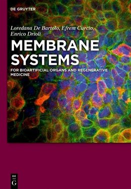 Membrane Systems