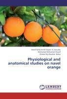 Physiological and anatomical studies on navel orange