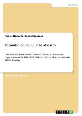 Formulación de un Plan Maestro