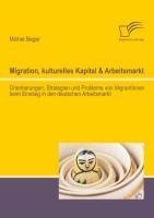 Migration, kulturelles Kapital & Arbeitsmarkt: Orientierungen, Strategien und Probleme von MigrantInnen beim Einstieg in den deutschen Arbeitsmarkt