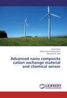 Advanced nano composite cation exchange material and chemical sensor