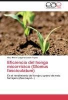 Eficiencia del hongo micorrícico (Glomus fasciculatum)