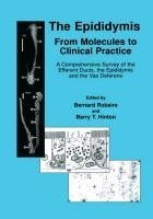 The Epididymis: From Molecules to Clinical Practice