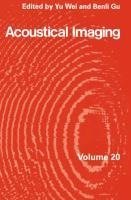 Acoustical Imaging