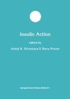 Insulin Action