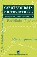 Carotenoids in Photosynthesis