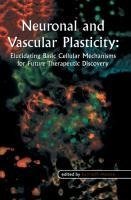 Neuronal and Vascular Plasticity