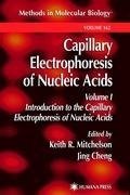 Capillary Electrophoresis of Nucleic Acids