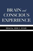 Brain and Conscious Experience