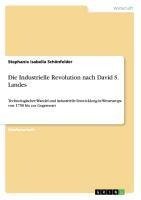 Die Industrielle Revolution nach David S. Landes